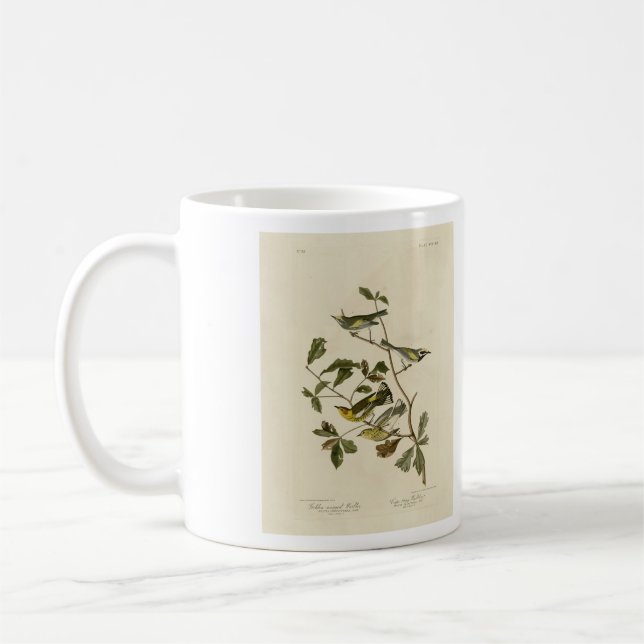 Golden-winged & Cape May Warblers, Audubon's Birds Coffee Mug (Left)