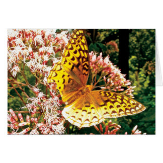 Golden Wings Cards