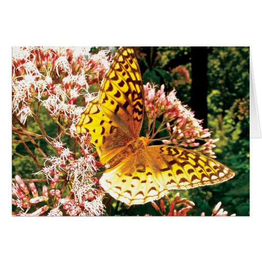 Golden Wings Cards (Front Horizontal)
