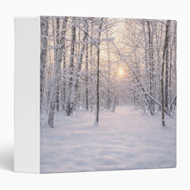 Golden_winter_light 3 Ring Binder (Front/Spine)