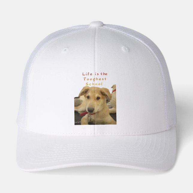 Golden Wisdom: A Dog's-Eye View of Life's School (Front)