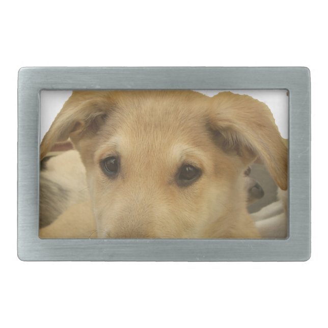 Golden Wisdom: A Dog's-Eye View of Life's School Belt Buckle (Front)