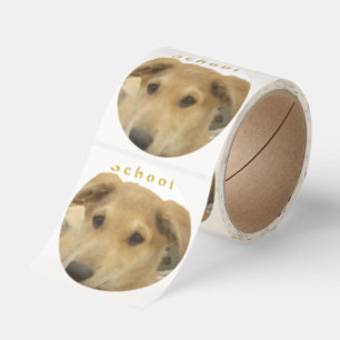 Golden Wisdom: A Dog's-Eye View of Life's School Classic Round Sticker