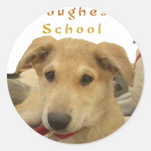 Golden Wisdom: A Dog's-Eye View of Life's School Classic Round Sticker