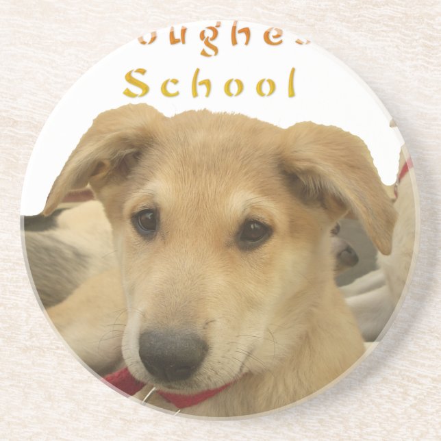 Golden Wisdom: A Dog's-Eye View of Life's School Coaster (Front)