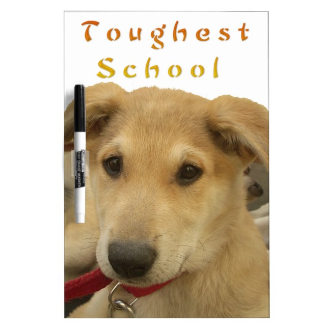 Golden Wisdom: A Dog's-Eye View of Life's School Dry Erase Board (Front)