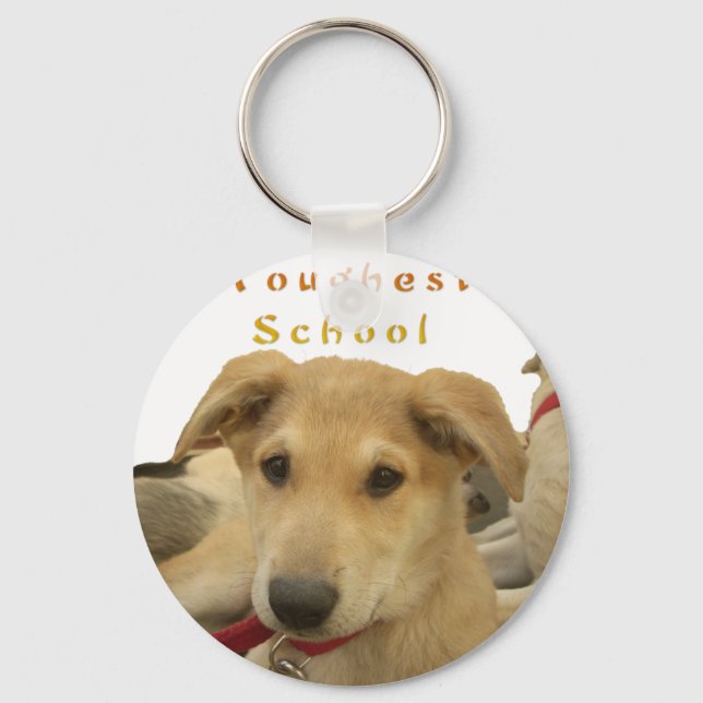 Golden Wisdom: A Dog's-Eye View of Life's School Keychain (Front)