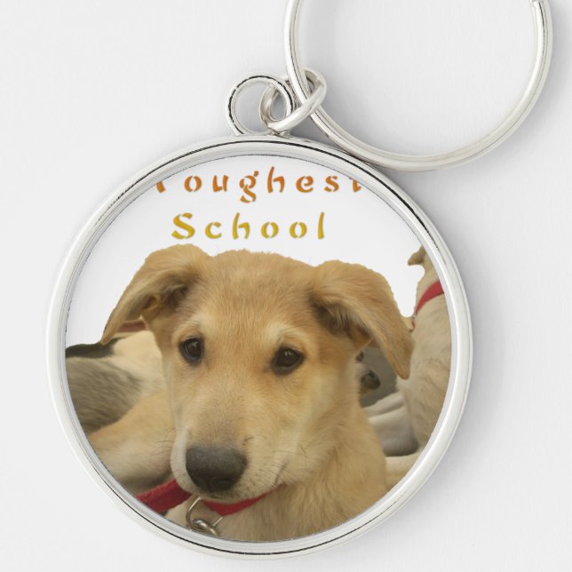 Golden Wisdom: A Dog's-Eye View of Life's School Keychain (Front)