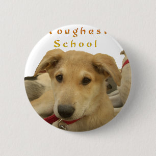 Golden Wisdom: A Dog's-Eye View of Life's School Pinback Button