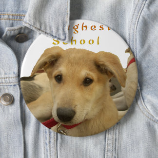 Golden Wisdom: A Dog's-Eye View of Life's School Pinback Button