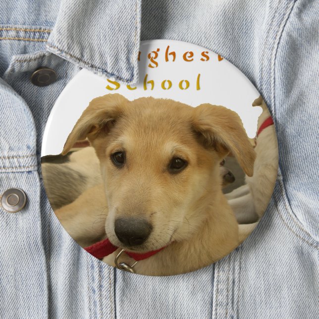 Golden Wisdom: A Dog's-Eye View of Life's School Pinback Button (In Situ)