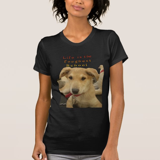 Golden Wisdom: A Dog's-Eye View of Life's School T-Shirt (Front)