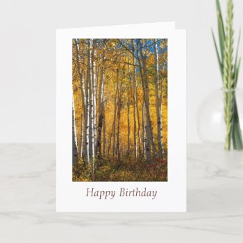 Golden Woods On The Grand Mesa Birthday Card by bluerabbit at Zazzle