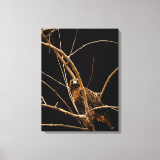 Golden Wrapped Canvas Print