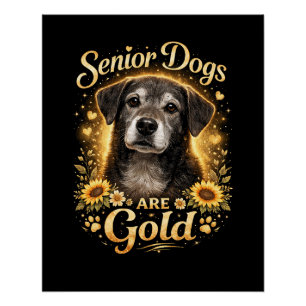 Golden Years, Loyal Hearts Poster