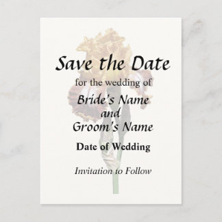 Golden Yellow and Bronze Iris Announcement Postcard