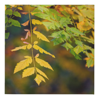Golden Yellow and Green Autumn Leaves on a Branch Faux Canvas Print
