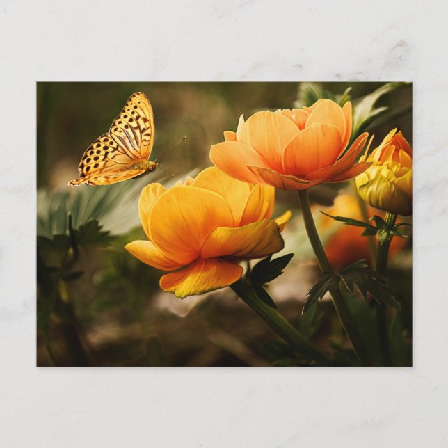 Golden Yellow Butterfly Postcard (Front)