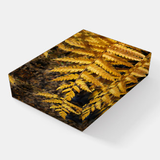 Golden Yellow Fern Autumn Leaf Photo Paperweight