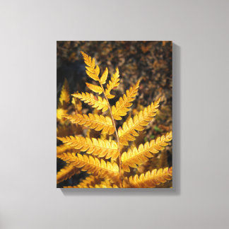 Golden Yellow Fern Fall Leaves Canvas Print