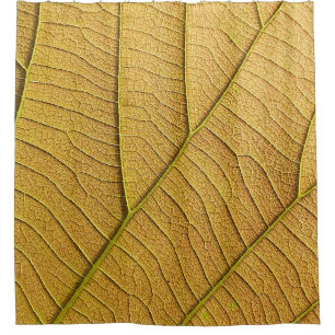 Golden yellow leaf pattern in the morning. shower curtain