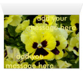 Golden Yellow Pansies, (Inside Horizontal (Bottom))
