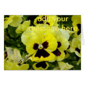 Golden Yellow Pansies, (Front Horizontal)
