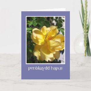 Golden Yellow Rose Birthday Card, Welsh Greeting Card