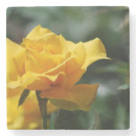 Golden Yellow Rose Bud Stone Coaster