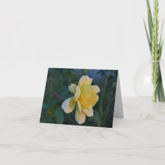 Golden Yellow Rose Elegant Thank You Note Cards
