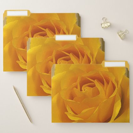 Golden Yellow Rose Petals Floral File Folder Set