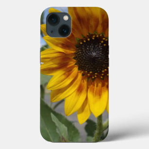 Golden Yellow Sunflower, iPhone 13 Case