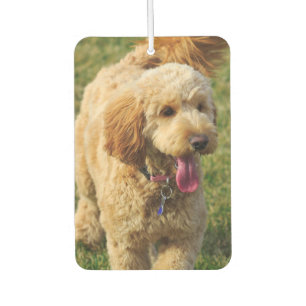 Goldendoodle Air Freshener
