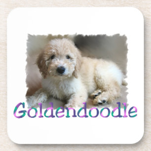 Goldendoodle Art Beverage Coaster