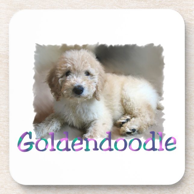 Goldendoodle Art Beverage Coaster (Front)