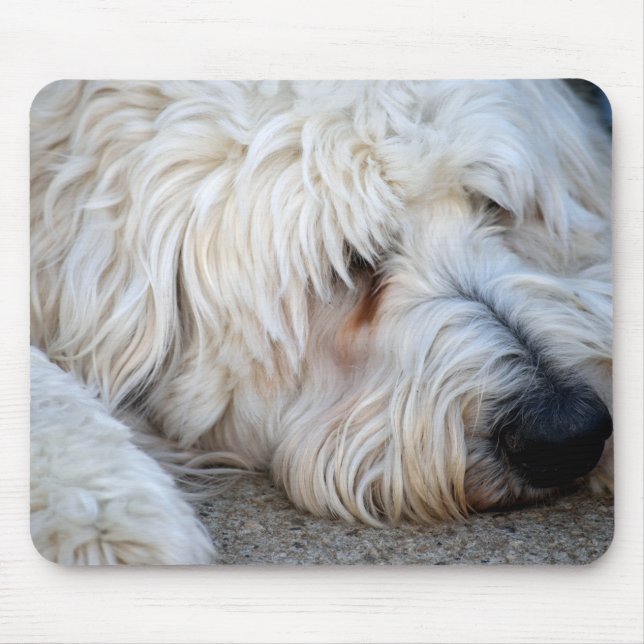 Goldendoodle background mouse pad (Front)