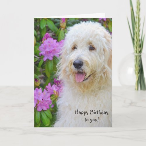 Goldendoodle Birthday Card