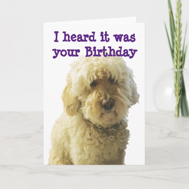 GoldenDoodle, Birthday Doodle Wishes Card (Front)