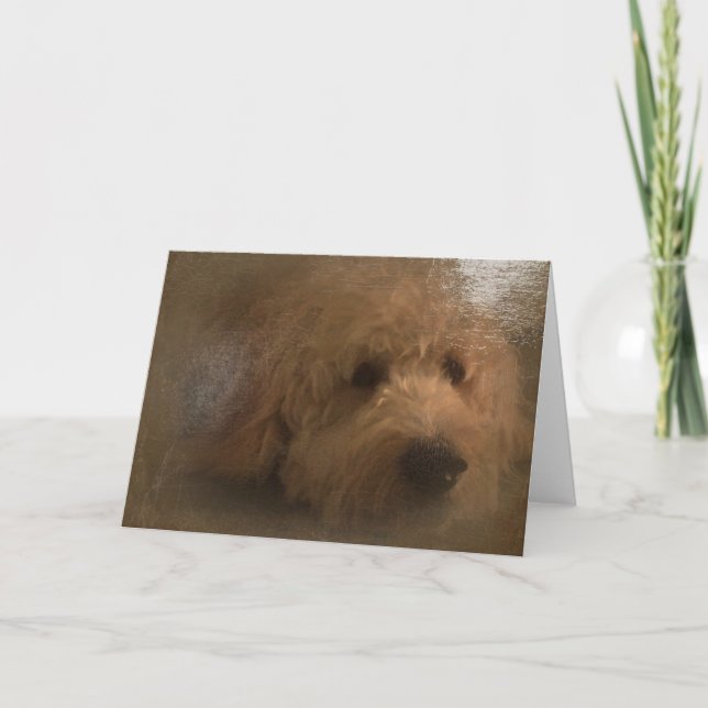 Goldendoodle blank card (Front)