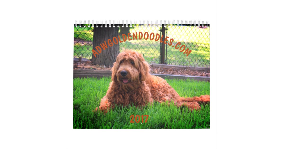 Goldendoodle Calendar | Zazzle.com