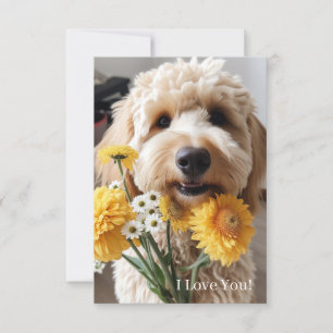 Goldendoodle Cards