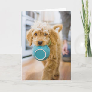 Goldendoodle Carrying Dinner Bowl Card