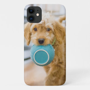 Goldendoodle Carrying Dinner Bowl iPhone 11 Case