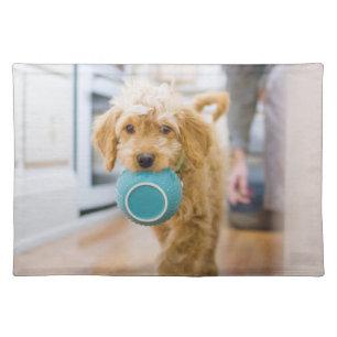 Goldendoodle Carrying Dinner Bowl Cloth Placemat