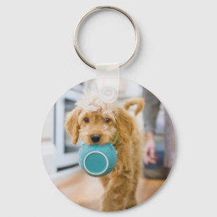 Goldendoodle Carrying Dinner Bowl Keychain