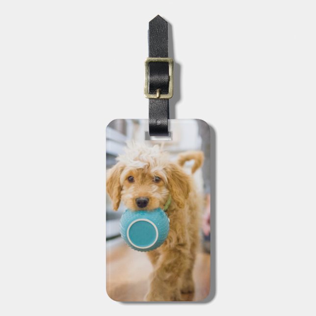 Goldendoodle Carrying Dinner Bowl Luggage Tag (Front Vertical)