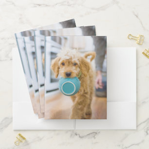 Goldendoodle Carrying Dinner Bowl Pocket Folder