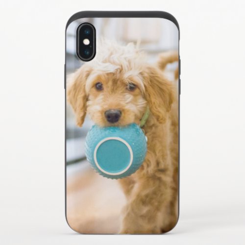Goldendoodle Carrying Dinner Bowl iPhone X Slider Case