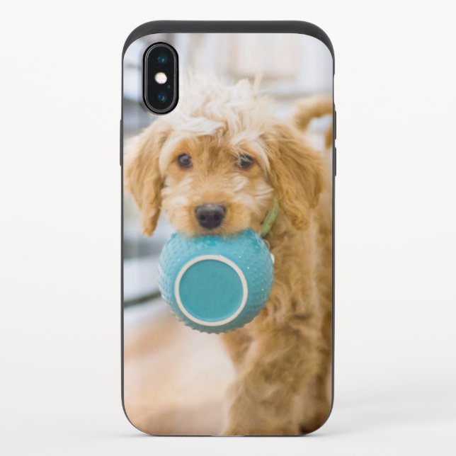 Goldendoodle Carrying Dinner Bowl Uncommon iPhone Case (Back)