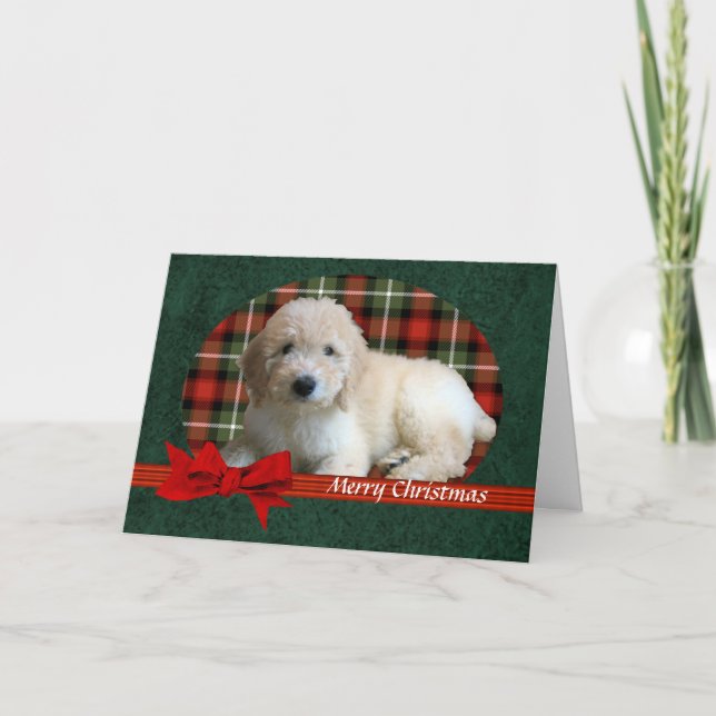 GoldenDoodle Christmas Holiday Customizable (Front)